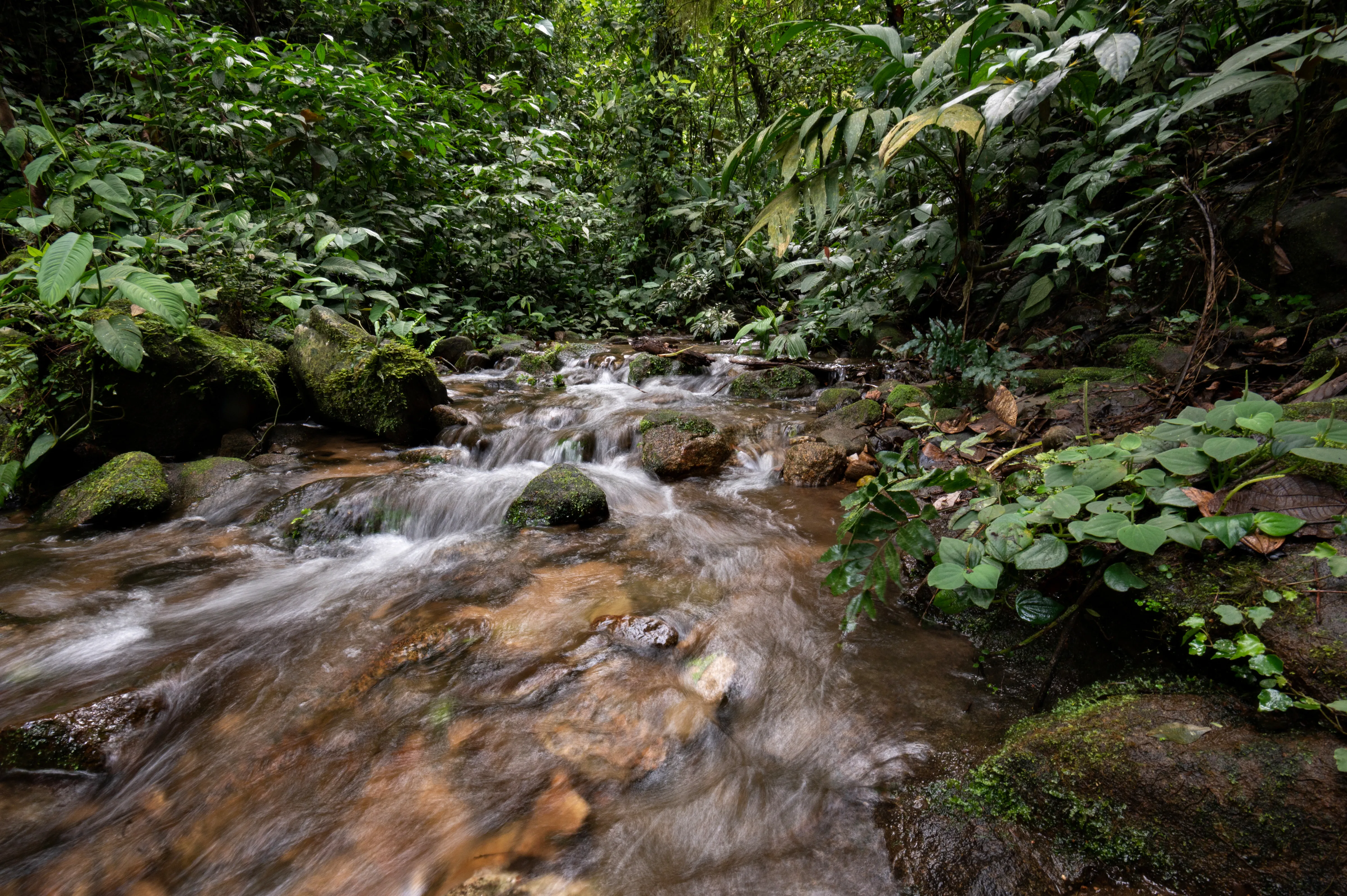 Two Black fishermen catch a bunch of fish with nets from a small boat.